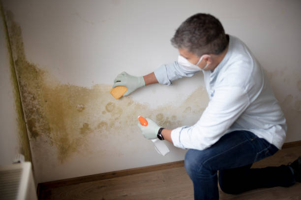 Best Post-Remediation Verification Testing  in Chepachet, RI