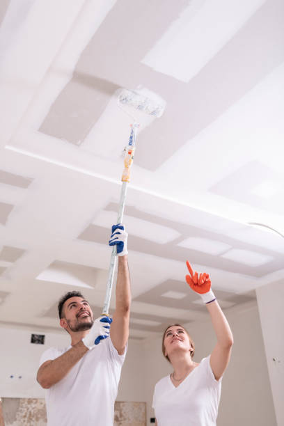 Best Emergency Mold Remediation  in Chepachet, RI