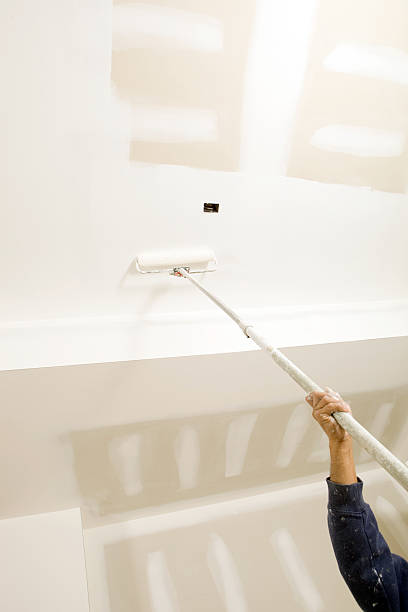Trusted Chepachet, RI Mold Removal Experts