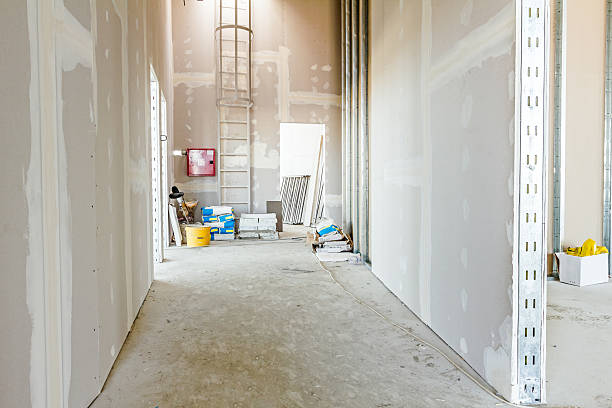 Best Attic Mold Removal  in Chepachet, RI