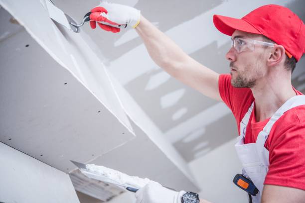 Best Biohazard Mold Removal  in Chepachet, RI